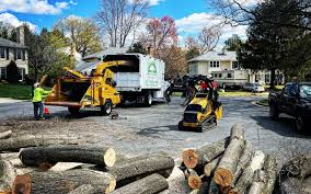 Best Firewood Processing and Delivery  in Tyro, NC