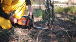 Best Soil Testing and Treatment  in Tyro, NC