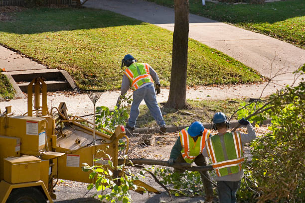 Best Tree Risk Assessment  in Tyro, NC